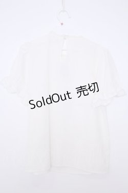 画像2: Ank Rouge / ローズ刺繍ヨーク半袖ブラウス  シロ O-26-01-28-067-CA-BL-IG-OS