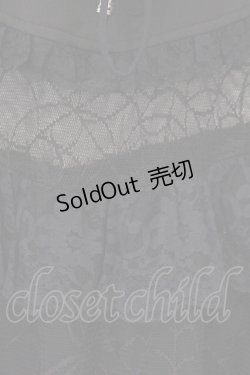 画像3: Qutie Frash / 蜘蛛メッシュ切り替えスカート  ブラック O-26-02-14-025-QU-SK-OW-OS