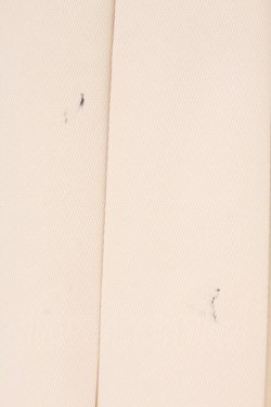 画像2: evelyn / ビジュープリーツスカート  アイボリー O-26-02-16-055-LO-SK-OW-OS