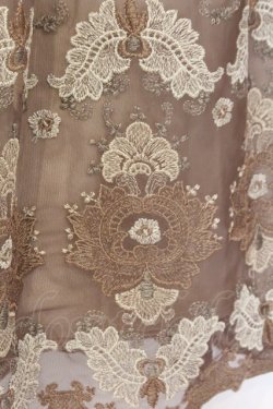 画像2: axes femme / グラデチュール刺繍スカート  キャメル O-26-02-18-1029-AX-SK-IG-OS