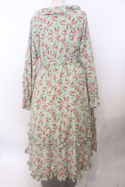 画像2: FLC / hs2WAYガラOP L グリーン O-26-02-19-1050-LO-OP-OW-OS