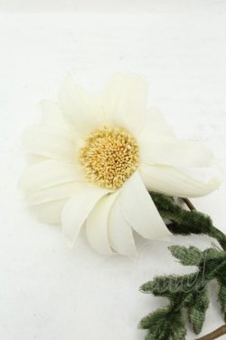 画像2: PINK HOUSE / マーガレットコサージュ  シロ O-26-02-19-087-LO-ZA-IG-ZT0220C