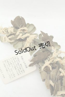 画像4: KANEKO ISAO / 3連マーガレットコサージュ  ミント×イエロー O-26-02-19-088-EL-ZA-IG-OS