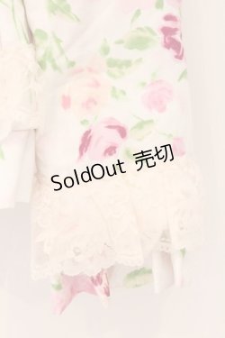 画像3: JESUS DIAMANTE / ベルサイユダウンコート 38 ぼかし薔薇 O-26-02-21-038-JE-CO-IG-OS