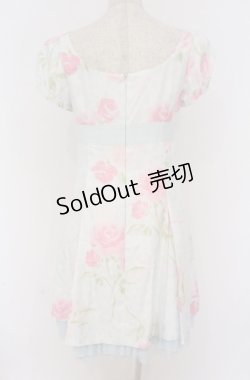 画像4: JESUS DIAMANTE / コアクマワンピース 42 ヒョウ薔薇柄サックス O-26-02-24-1056-JE-OP-OW-OS