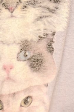 画像2: Candy Stripper / ICE CAT BIG BIG TEE 2 ラベンダー O-26-03-04-057-PU-TO-IG-OS