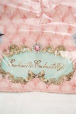 画像2: Enchantlic Enchantilly / フロアーマット  ドロワーズ猫ちゃん（ピンク） O-26-03-14-061-LO-ZA-OW-ZT428 (2)