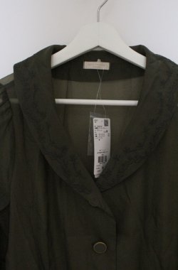 画像2: axes femme POETIQUE / 刺繍襟シアーロングコート M グリーン O-26-03-16-048-AX-OP-IG-OS