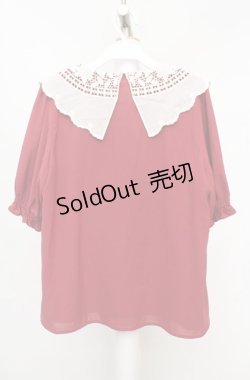 画像3: axes femme / バラ刺繍襟ブラウス F アカ×オフシロ O-26-03-18-042-AX-BL-IG-OS