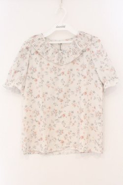 画像1: evelyn / フラワープリーツトップス  アイボリー O-26-03-19-036-LO-TO-OW-OS