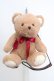 画像1: Amavel / FLUFFY YUMMY SOUVENIRテディベアリュック  ブラウン×ワイン O-26-03-19-1002-CA-BG-IG-OS (1)