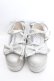 画像1: Angelic Pretty / Dreamy Twinkleシューズ M シルバーラメ O-26-03-27-1010-AP-SH-IG-OS (1)