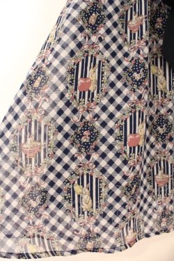 画像2: axes femme POETIQUE / フラワーフレームギンガムスカート  ネイビー O-26-03-31-1031-AX-SK-IG-OS