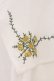 画像2: an another angelus / スクエアケープ衿ローズ刺繍ブラウス  オフシロ O-26-04-04-007-CA-BL-IG-OS (2)