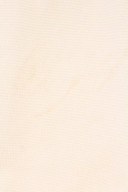 画像3: Fi.n.t / マリンカラーポロシャツ  オフシロ O-26-04-06-038-CA-TO-IG-OS