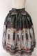 画像1: ALICE and the PIRATES / Fleeting moments〜月下の不思議な珈琲店〜柄スカート  グリーン O-26-04-07-063-PA-SK-OW-OS (1)