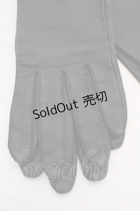 画像2: alice auaa / 13A/W【aragne】 レザーロンググローブ  ブラック O-26-04-23-007-AA-ZA-IG-OS (2)