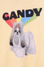 画像2: Candy Stripper / CANDY PUPPY Tシャツ  イエロー O-26-05-02-017-PU-TS-IG-OS (2)