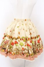 画像3: metamorphose / 森の小さな住人ミニスカート  キナリ系 O-26-05-10-5005-ME-SK-OW-OS (3)