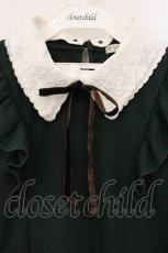 画像2: axes femme / ブーケ刺繍二枚襟リブプルオーバー  グリーン O-26-05-12-029-AX-TO-IG-OS (2)