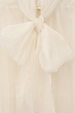 画像2: a maiden devil / Chiffon blouse  ホワイト 金糸 O-26-06-06-056-GO-BL-IG-OS (2)