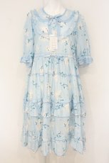 画像1: alcali / キャットローズワンピース  サックス O-26-07-01-081-LO-OP-OW-OS (1)