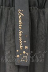 画像2: axes femme POETIQUE / 刺繍サス付チュールスカート M グリーン O-26-07-26-1047-AX-SK-OW-OS (2)