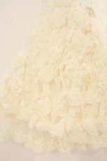 画像3: LIZ LISA / モチーフローズスカパン【お直しあり】  シト O-26-07-28-106-LO-SK-IG-OS (3)