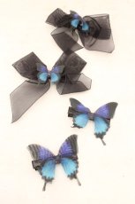 画像1: Star Fantasy / Butterfly Effect　蝶々クリップ  クロ×アオ O-26-08-02-1050-LO-AC-OW-OS (1)