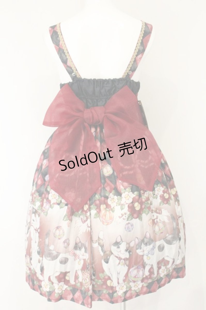 画像5: Royal Princess Alice / 大正浪漫ニャンコ日和（たまコラボ）帯付きドレス  アカ系 O-26-08-04-039-LO-OP-OW-OS (5)
