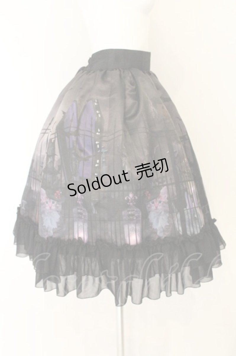 画像3: ATELIER PIERROT / Darkness Gateスカート  ブラック O-26-08-04-022-EL-SK-OW-OS (3)
