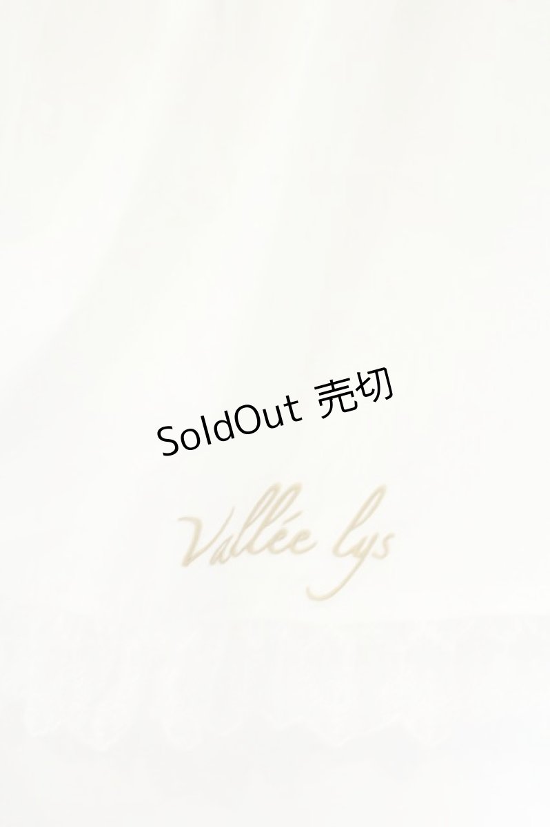 画像2: Vallee lys / Lace　Apron（レースエプロン）  ホワイト O-26-08-09-002-GO-SK-IG-OS (2)