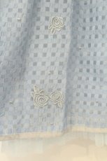 画像2: axes femme / 総刺繍シアーギンガムスカート M サックス O-26-08-13-114-AX-SK-IG-OS (2)