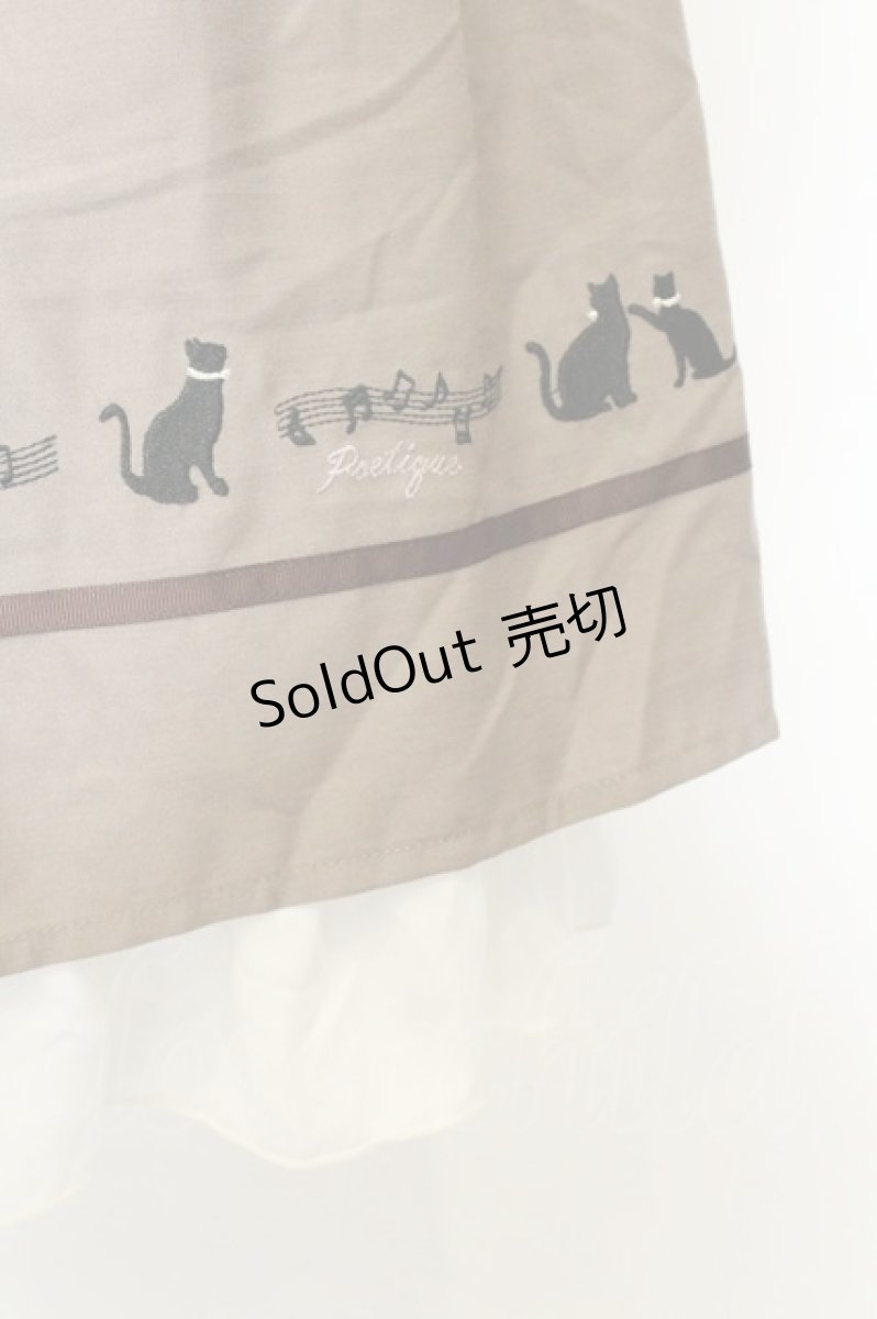 画像3: axes femme POETIQUE / ネコ×楽譜刺繍スカート M モカ O-26-08-14-009-AX-SK-OW-OS (3)