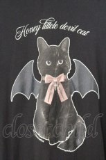 画像2: Honey Cinnamon / Devil kitten Tシャツ  クロ O-26-08-21-029-LO-TO-IG-OS (2)