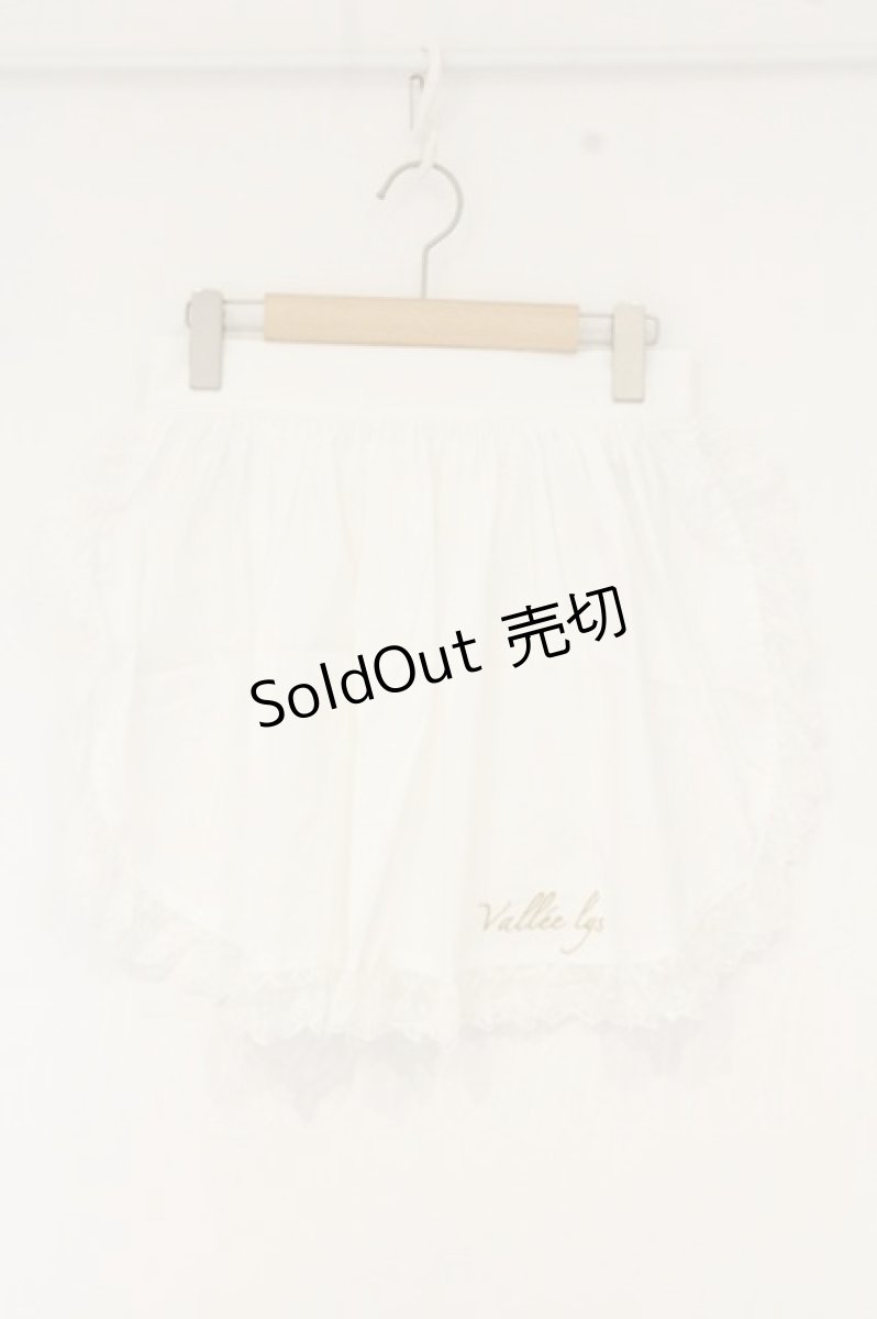 画像1: Vallee lys / Lace　Apron（レースエプロン）  ホワイト O-26-09-10-015-GO-SK-IG-OS (1)