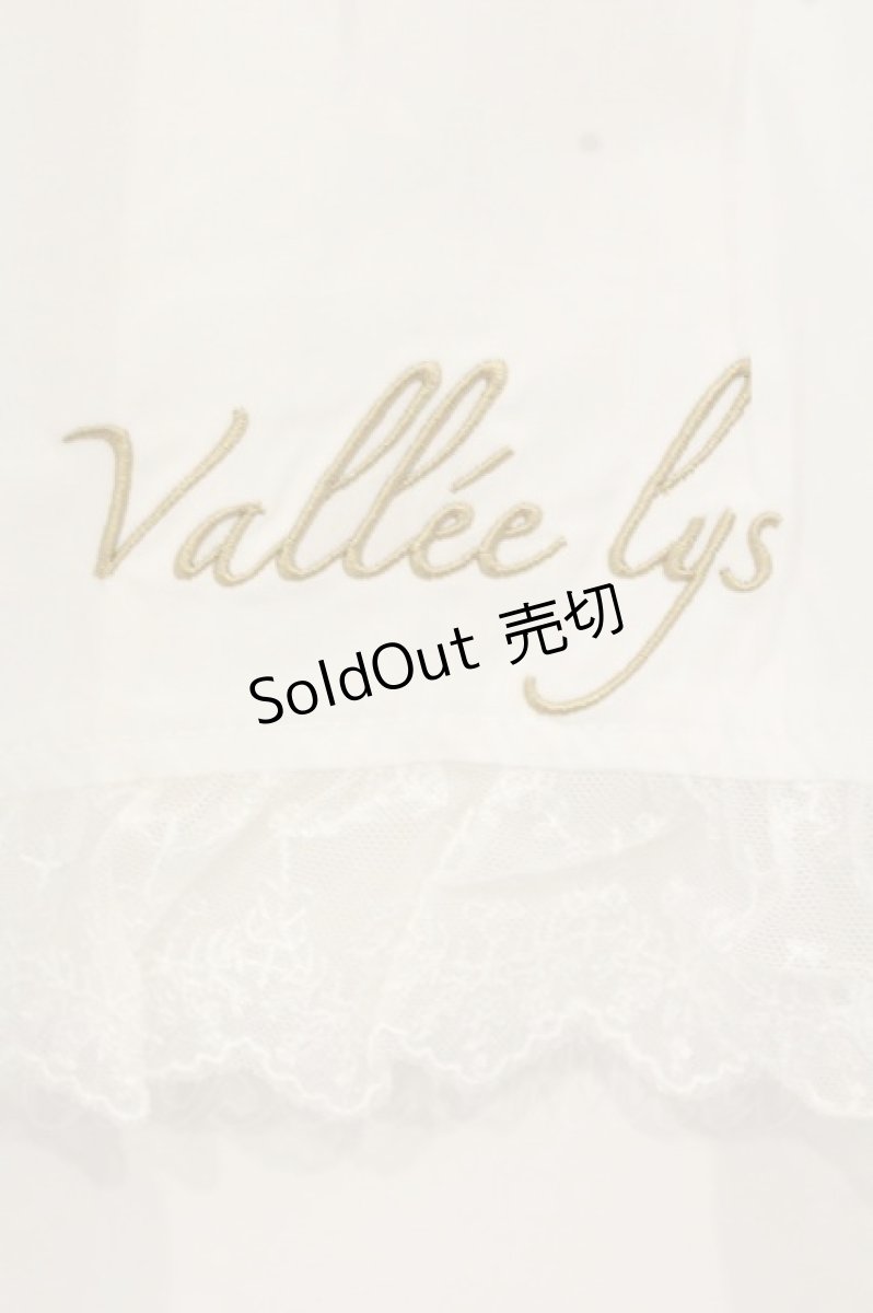 画像2: Vallee lys / Lace　Apron（レースエプロン）  ホワイト O-26-09-10-015-GO-SK-IG-OS (2)