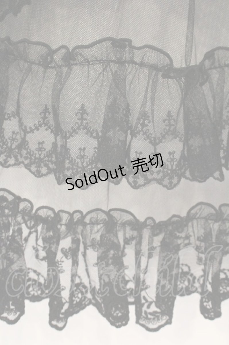 画像5: Vallee lys / Mirage Veil Overskirt（ミラージュヴェールオーバースカート）  ブラック O-26-09-16-026-GO-SK-IG-OS (5)