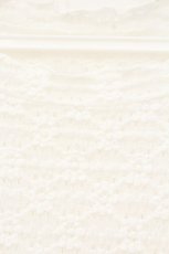 画像2: merry jenny / floralストレッチレースtops　トップス F シロ O-26-09-26-012-LO-TO-OW-OS (2)