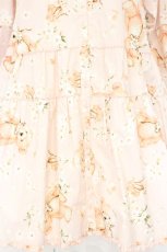 画像3: PINK HOUSE / 桜Teddy チュニックワンピース  ピンク O-26-10-18-002-LO-TO-IG-OS (3)