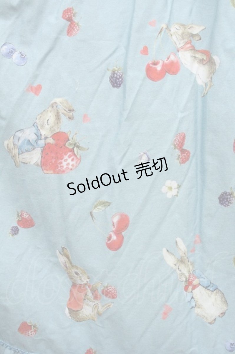 画像3: PINK HOUSE / ピーターラビットフードドレス  サックス S-24-01-19-016-LO-OP-AS-ZS (3)