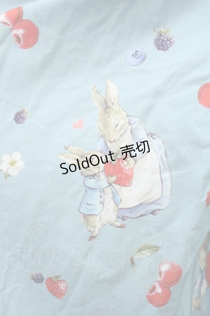 画像4: PINK HOUSE / ピーターラビットフードドレス  サックス S-24-01-19-016-LO-OP-AS-ZS (4)