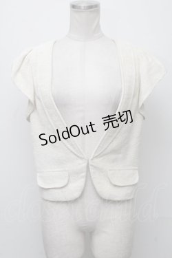 画像1: JILL STUART / ラメフリル袖ベスト  オフ S-24-12-04-016-LO-JA-HR-ZS