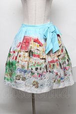 画像1: 【SALE】Jane Marple / Golden goose townスカート  オフ S-25-02-11-075-JM-SK-HR-ZT066 (1)