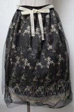 画像1: 【SALE】axes femme / 刺繍チュールスカート  黒 S-25-02-17-062-AX-SK-HR-ZT398 (1)