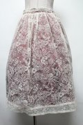 axes femme / 繊細フロッキーミディスカート   S-25-02-17-1056-AX-SK-AS-ZI