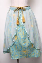 axes femme POETIQUE / ディズニーアラジン/スカート  グリーン S-25-02-17-1043-AX-SK-AS-ZT198