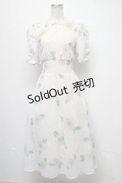 画像1: axes femme / フリル袖シャーリングワンピース  キナリ S-25-03-20-066-AX-OP-HR-ZS