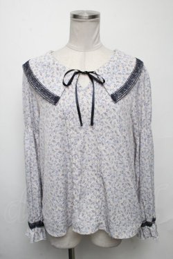 画像1: axes femme / 小花柄トップス  青ｘ白 S-25-03-23-1023-AX-TO-HR-ZS