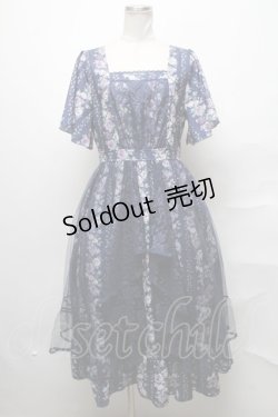画像1: axes femme / 薔薇柄ラッフルチュールワンピース  紺 S-25-03-31-042-AX-OP-HR-ZS